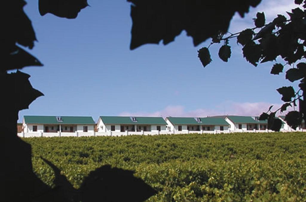 D'Aria Guest Cottages Durbanville Exterior photo
